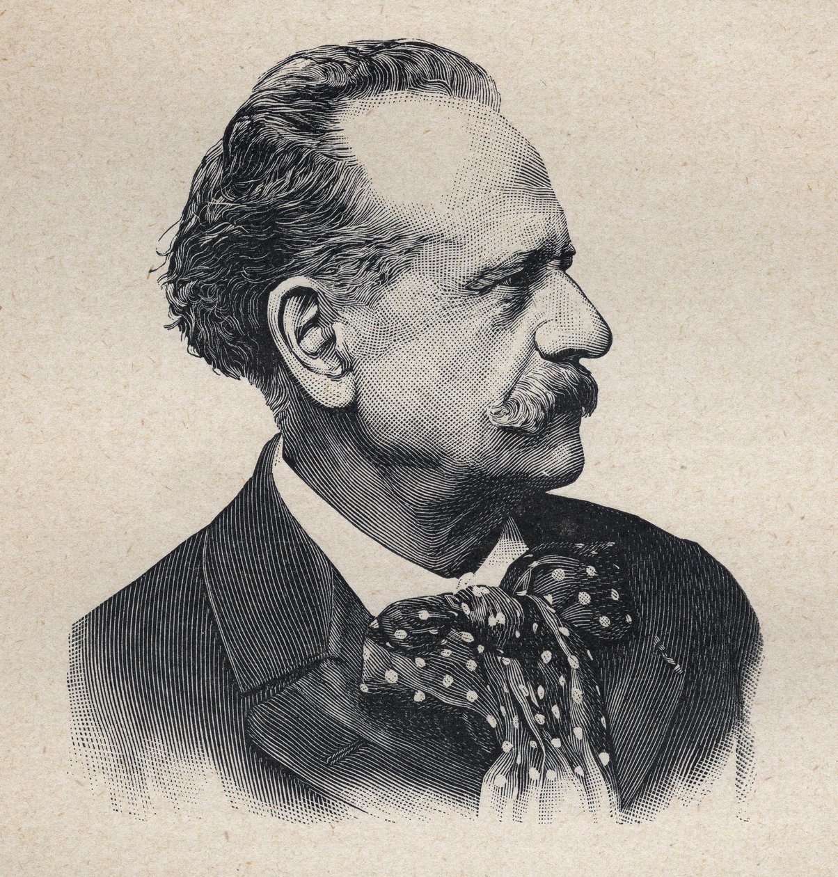 Portrét Julese Valadona, francouzského malíře (1826-1900) od Unknown artist