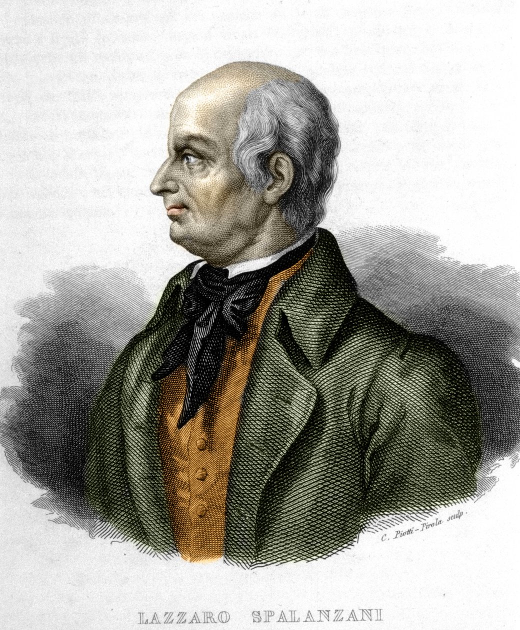 Portrét Lazzaro Spalanzani (nebo Spallanzani), italský biolog (1729 - 1799) od Unknown artist