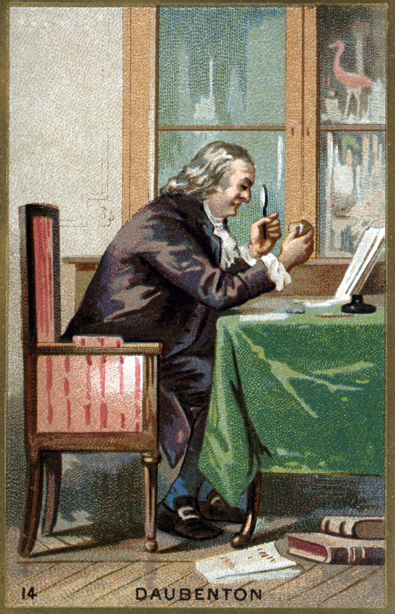 Portrét Louis Jean Marie Daubenton, dit Daubenton (1716 - 1800), francouzský přírodovědec. Chromolitografie 19. století. od Unknown artist