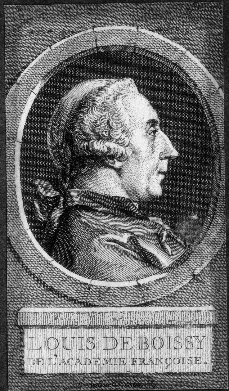 Portrét Louise de Boissy z Francouzské akademie - n.d. od Unknown artist