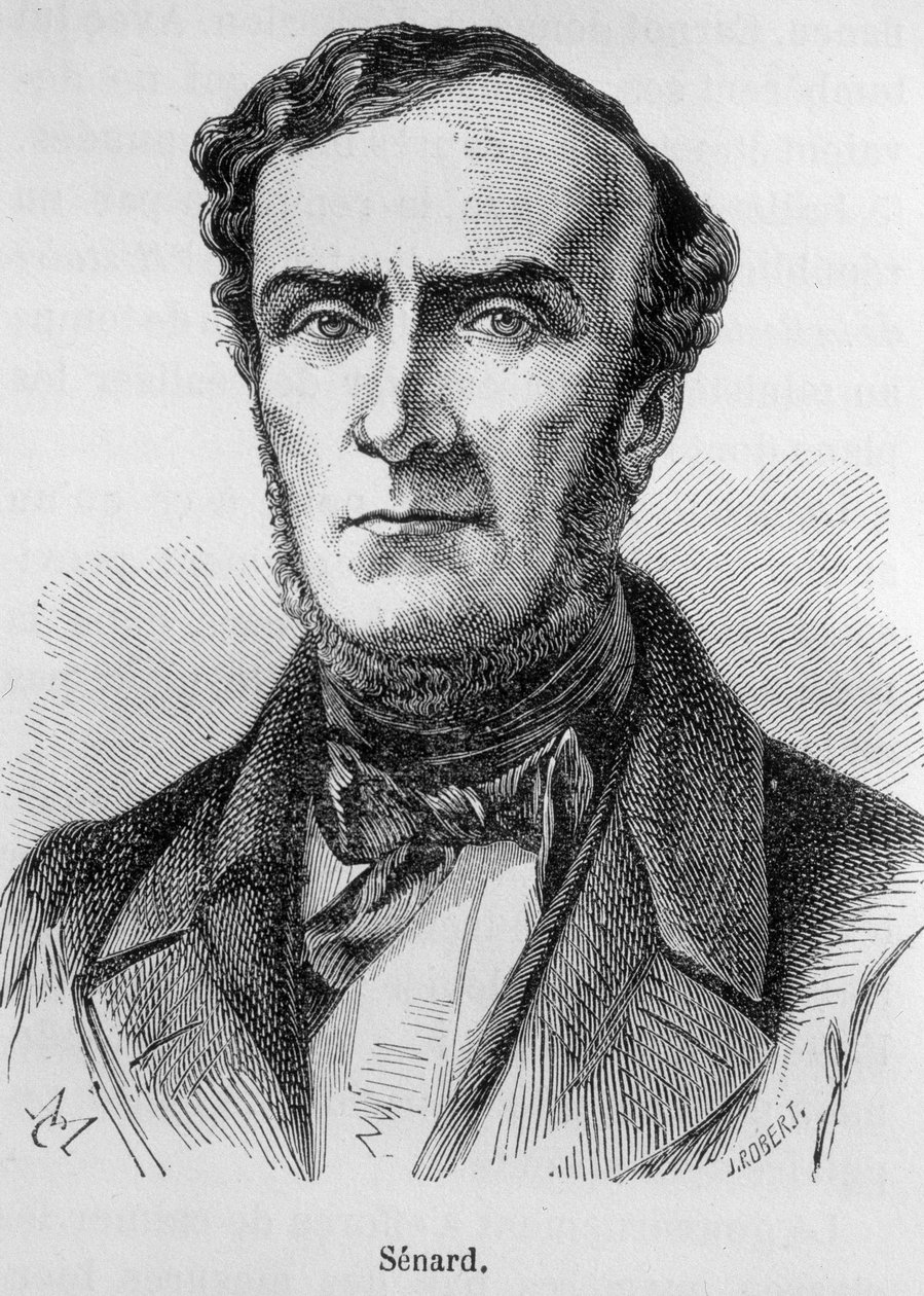 Portrét Marie Antoine Jules Senardové, členky pařížské advokátní komory, bývalého předsedy Národního shromáždění a bývalého ministra vnitra. Během procesu po zveřejnění Madame Bovaryové obhajoval Gustava Flauberta. Rytina 19. století. od Unknown artist