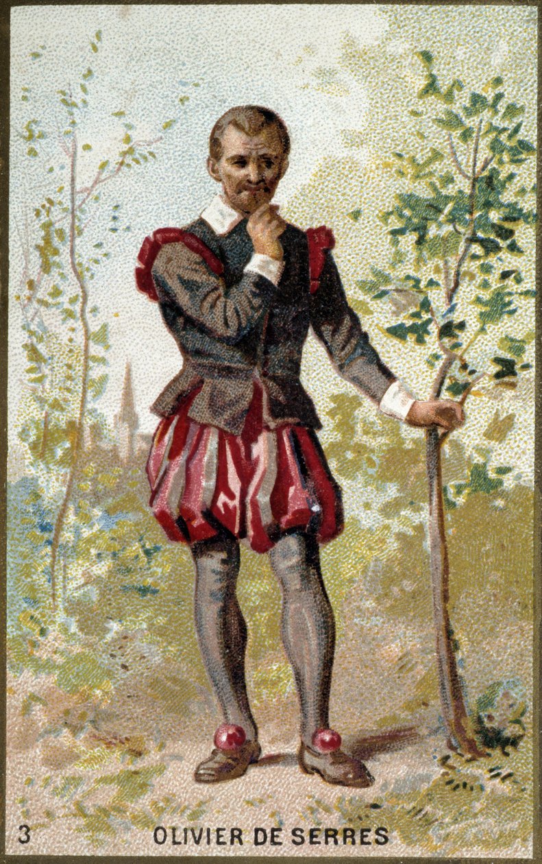 Portrét Oliviera de Serres (1539 - 1619), francouzského agronoma. Chromolitografie 19. století. od Unknown artist