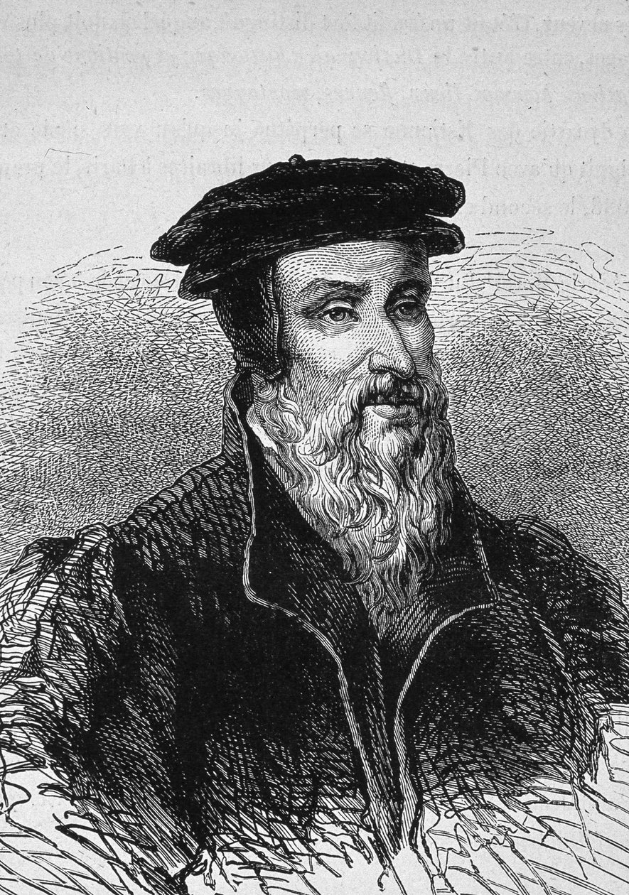 Portrét Roberta Estienna (1503 - 1559), francouzského tiskaře. od Unknown artist