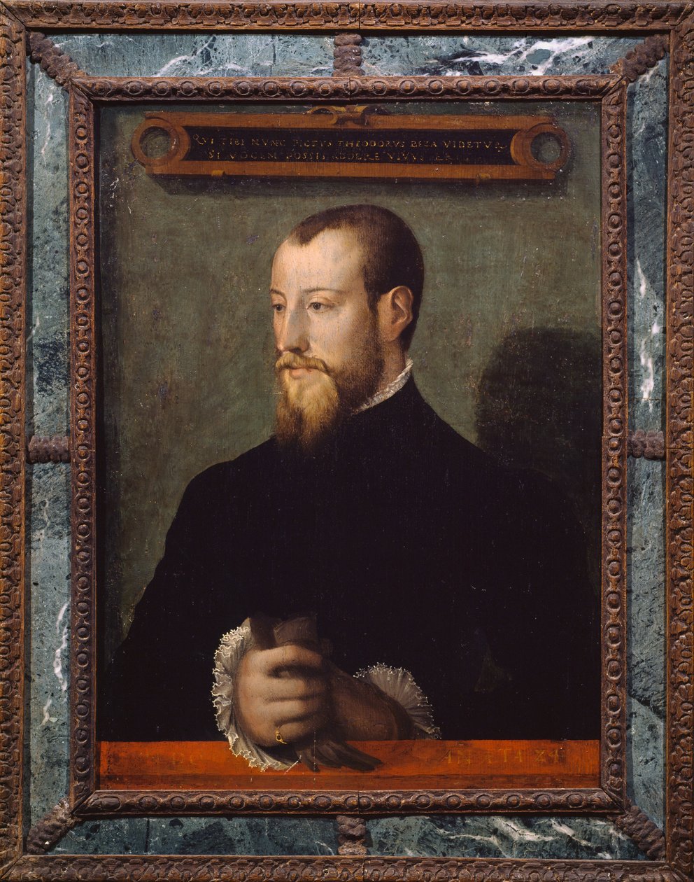 Portrét Theodora Bezy nebo Theodora de Beze (1519-1605) ve věku 24 let, francouzský teolog, obraz anonymního malíře od Unknown artist