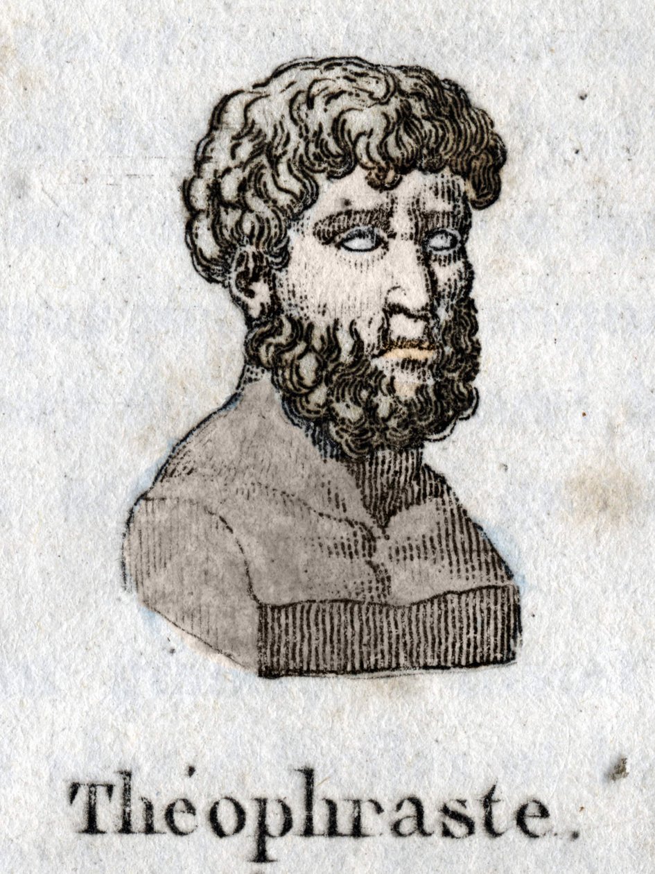 Portrét Theophrastes (372 př.nl-287 př.nl), řecký filozof. od Unknown artist