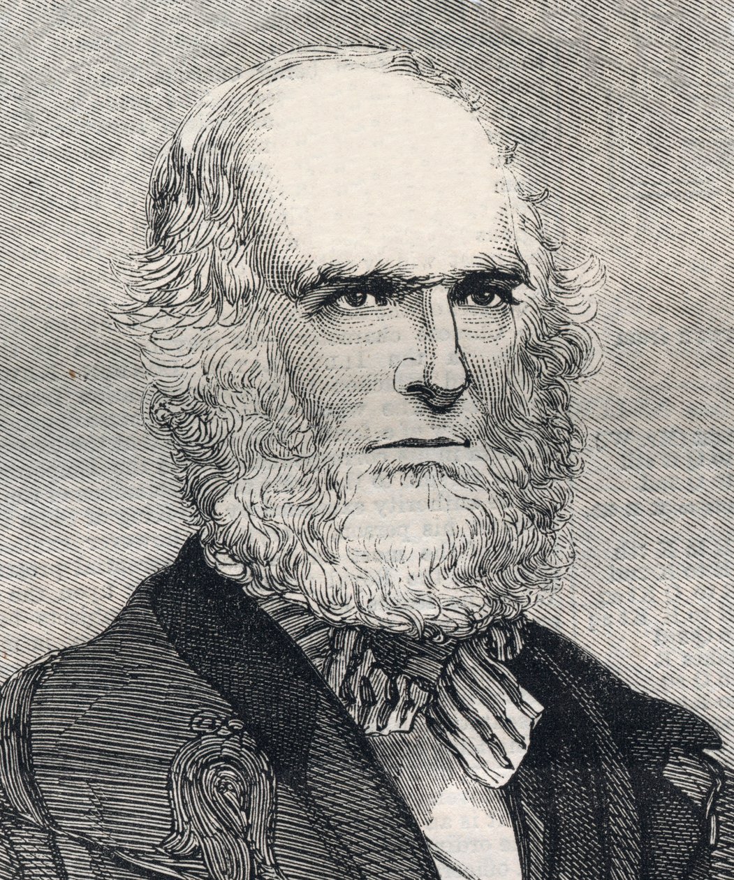 Portrét Williama Cullena Bryanta (1794-1878), amerického básníka. Gravírování do „“ The illustrated London News““ z 23. ledna 1858. od Unknown artist
