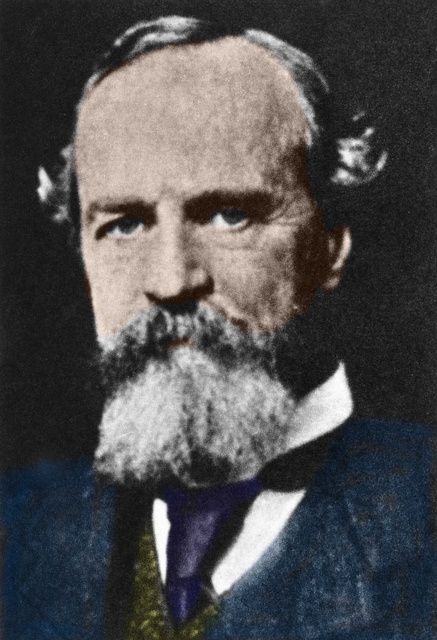 Portrét Williama Jamese (1842-1910), amerického pragmatického filozofa. od Unknown artist
