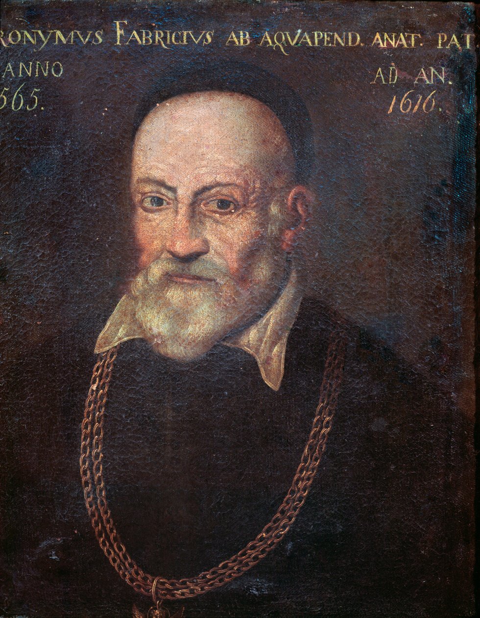 Portrét průkopnického anatoma a chirurga Hieronyma Fabricia (malba od Unknown artist