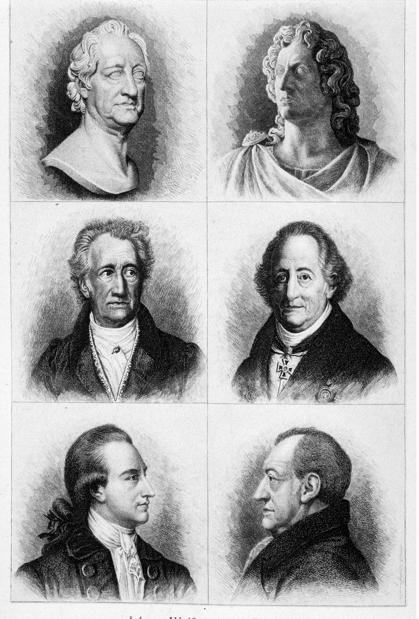 Portréty Goetha. Sd. rytina 19. století. od Unknown artist