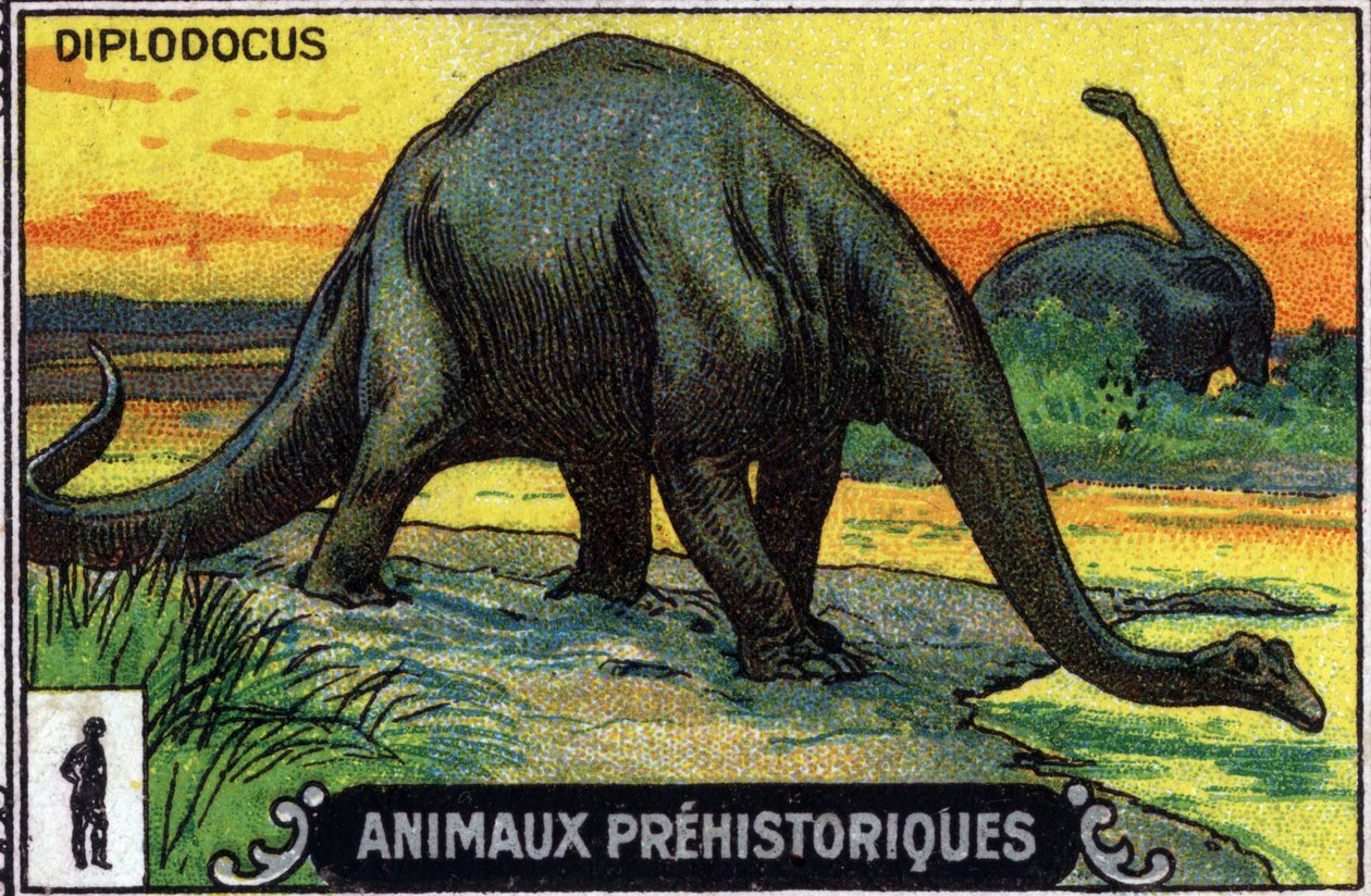 Prehistorické zvíře: dinosaurus diplodok (chromo) od Unknown Artist