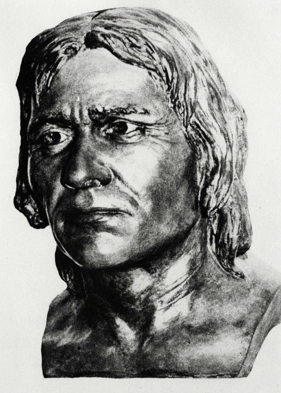 Pravěk: rekonstrukce kromaňonského muže (busta), po Mac Grégorovi. od Unknown artist