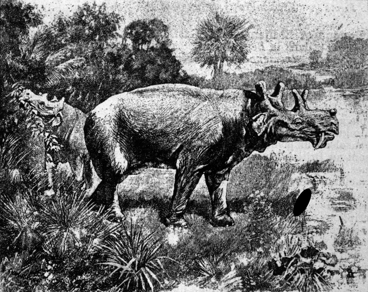 Pravěk: zobrazení čtyřrohého dinosaura Uintatherium. od Unknown artist