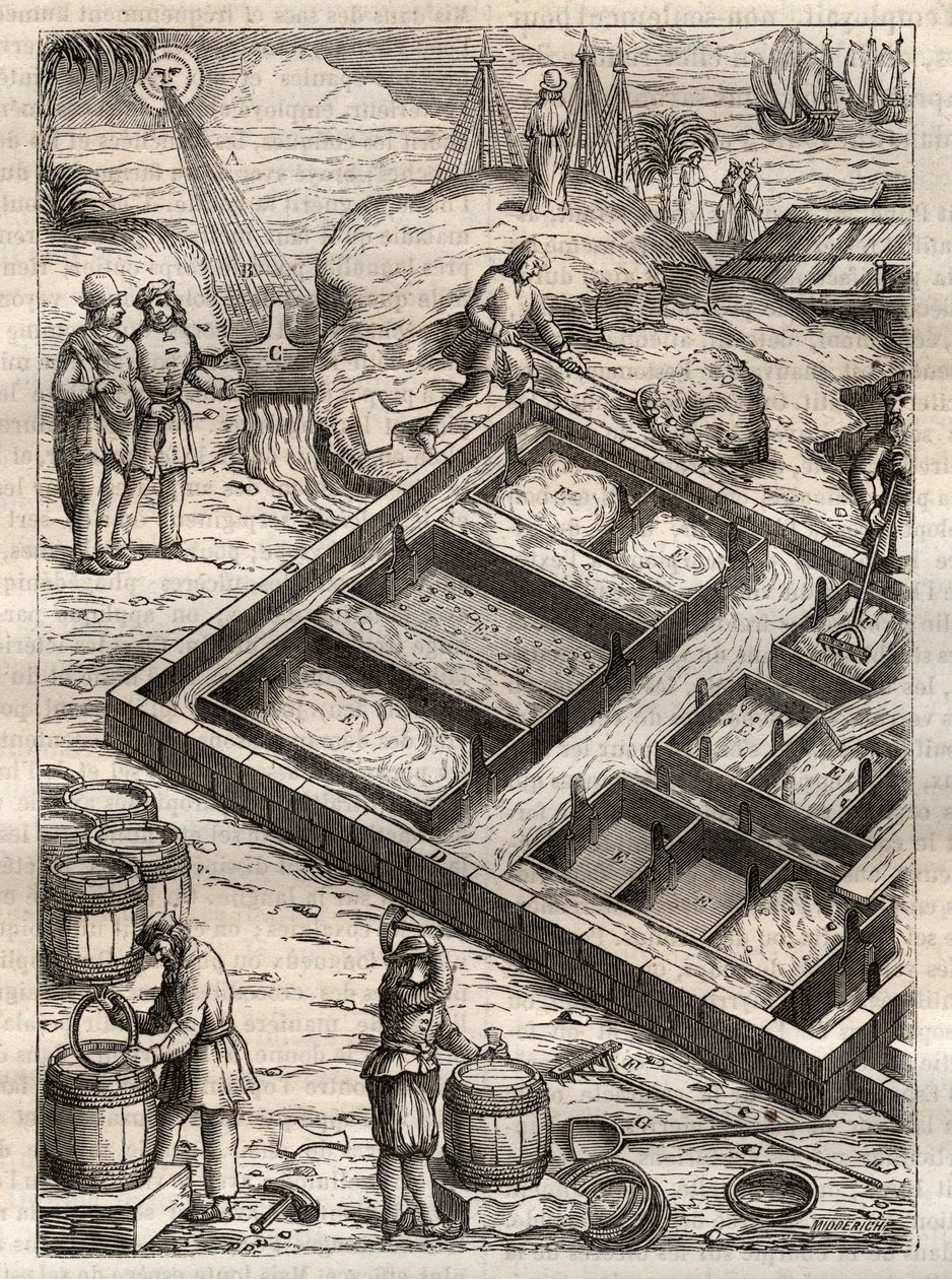 Výroba soli odpařováním mořské vody v solných pánvích. Z „“De re metallica““ od Georgiuse Agricoly (Georg Bauer). (Basilej 1556) - Výroba soli: mořská voda nalitá do velkých misek se odpařuje a zanechává zásobu soli. Rytina z „“De re metallica““ od G od Unknown artist
