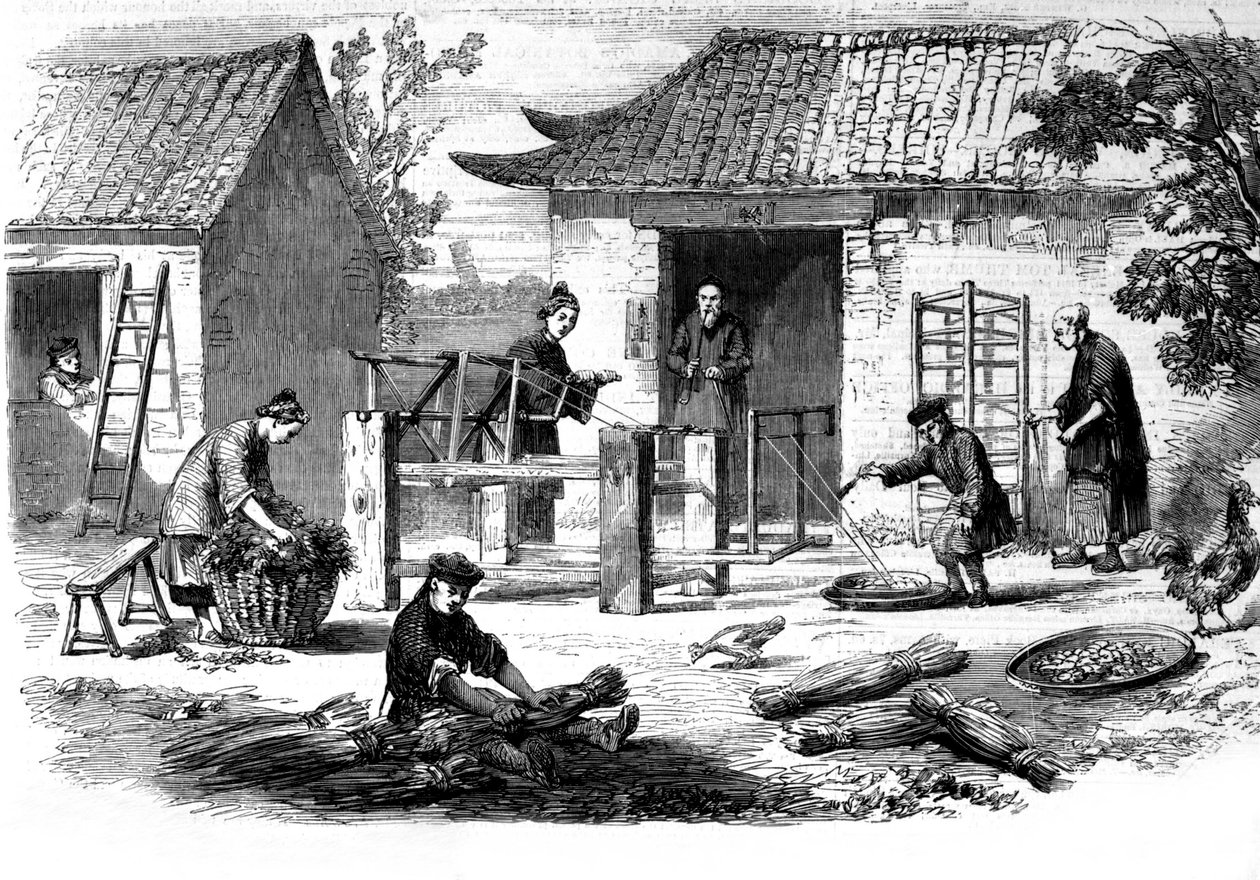 Výroba hedvábí v Číně a různé fáze výroby. od Unknown artist