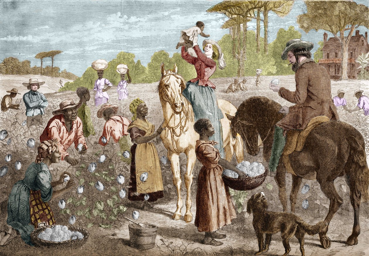 Recyklovaná bavlna z domu na jihu Spojených států v roce 1864. od Unknown artist
