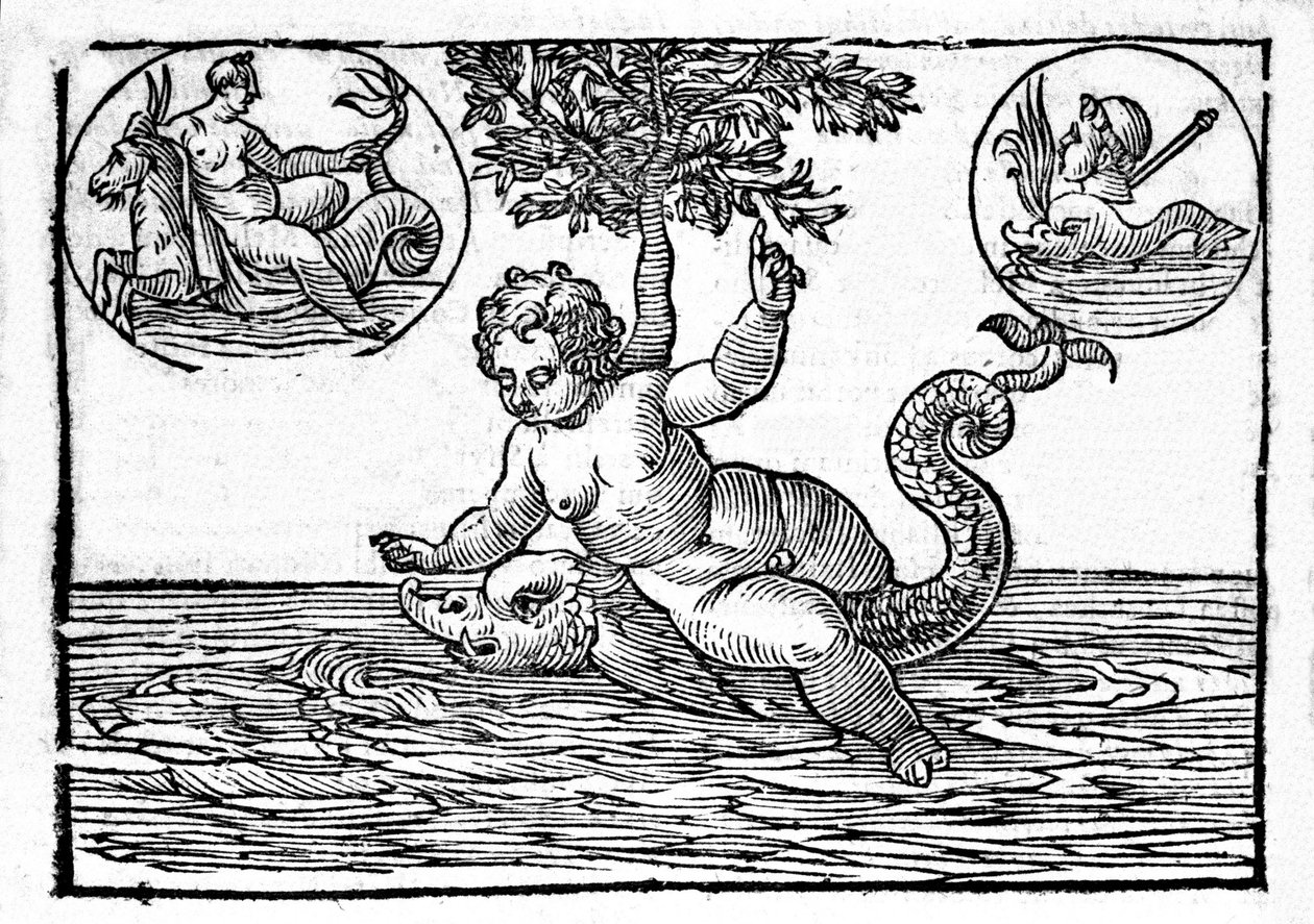 Reprezentace Ino, boha moře, a jeho syna Palemona. Rytina z "Mytologie a bajky" od hraběte Natalie 1637 od Unknown artist