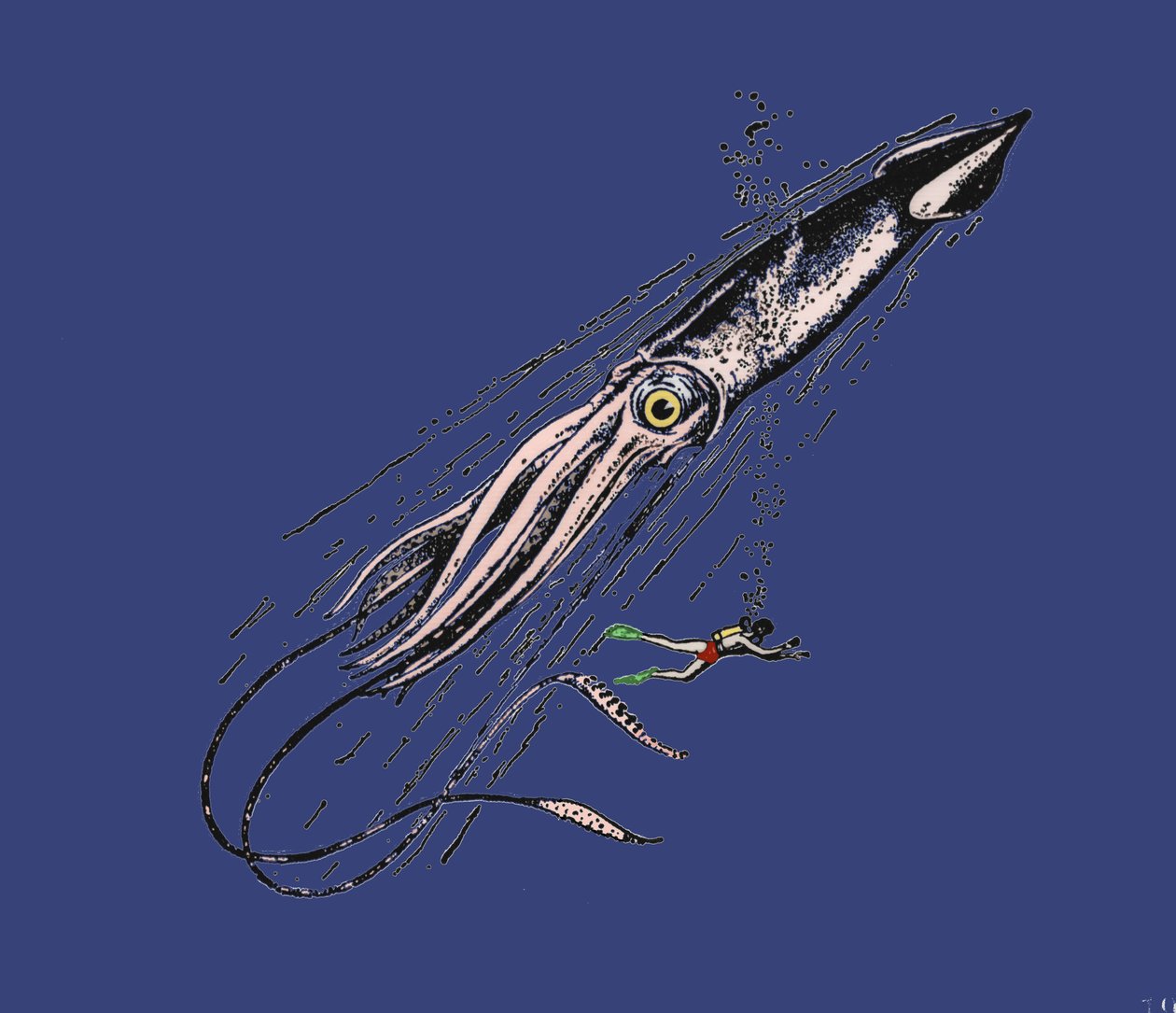 Znázornění obří chobotnice (Architeuthis) v lidském měřítku. 19. století od Unknown artist