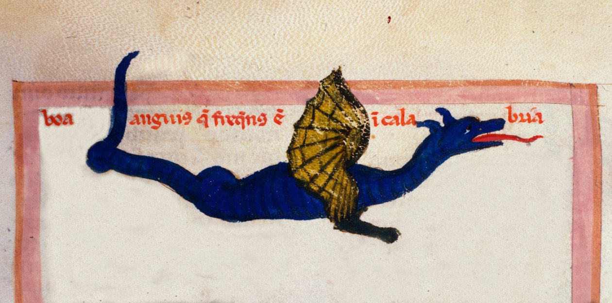 Znázornění miniaturního křídlového draka převzatého z „“Cosmographia““ od Julia Solinus od Unknown artist