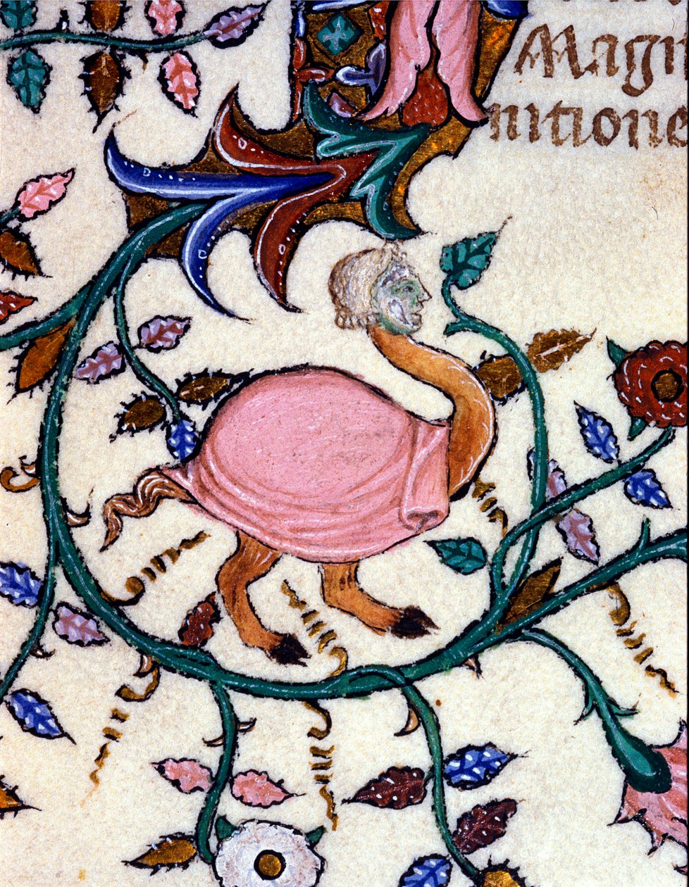 Znázornění monstra s pštrosím tělem a lidskou hlavou. Miniatura rukopisu ze 14. století. Milán, Biblioteca Nazionale Braidense. od Unknown artist