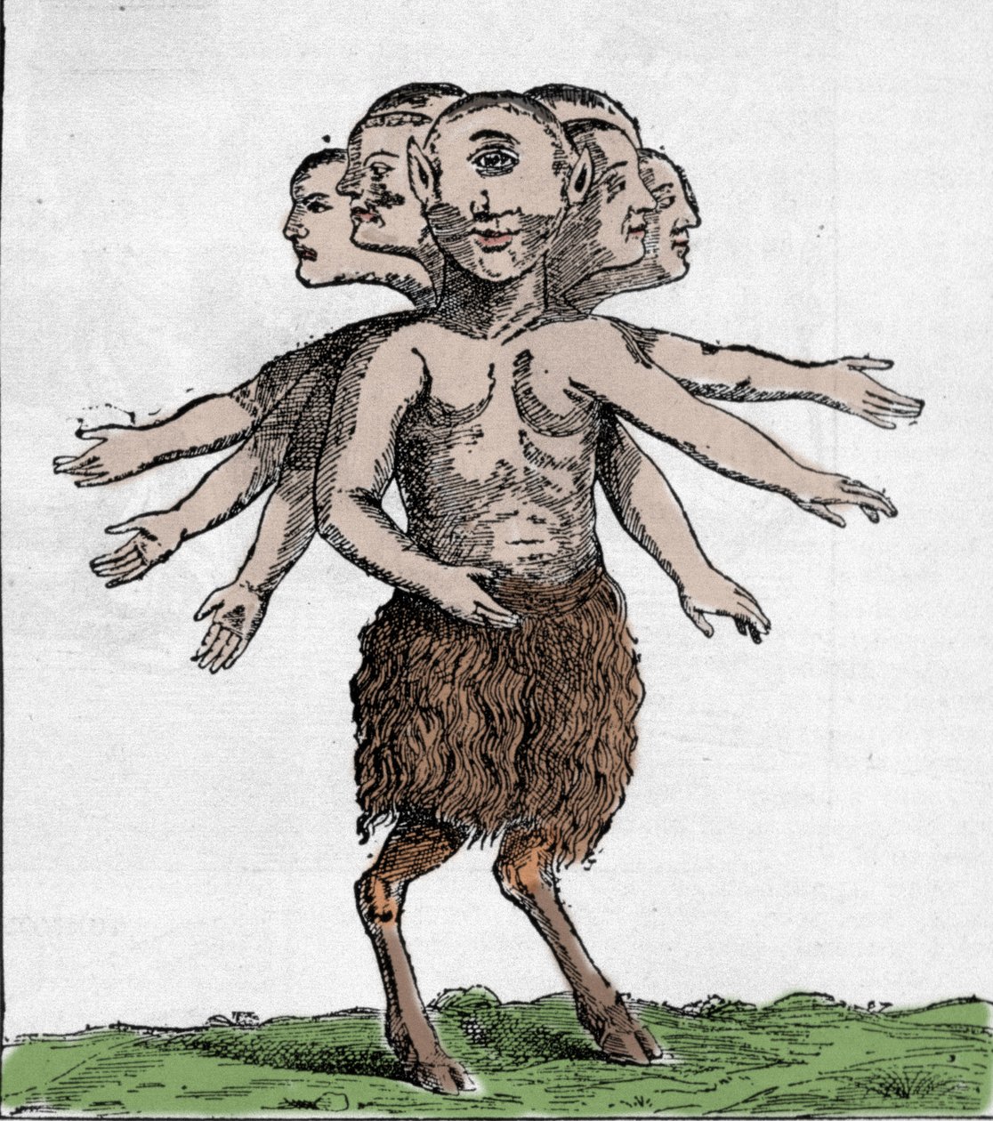 Znázornění monstrózního tvora zachyceného v pohoří Zardana ve Španělsku v roce 1655. Rytina od Unknown artist