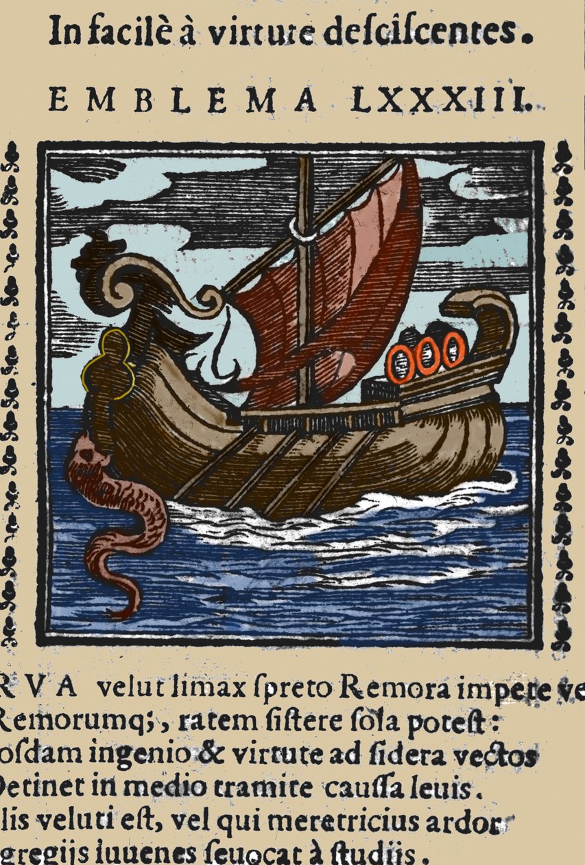 Znázornění remora, že podle příběhů Plinia svatý Ambrož a Rabelais zaútočili na lodě tak, že připevnili její ocas přísavkou ke skále a zablokovali loď ústy. Rytina z díla ze 17. století od Unknown artist