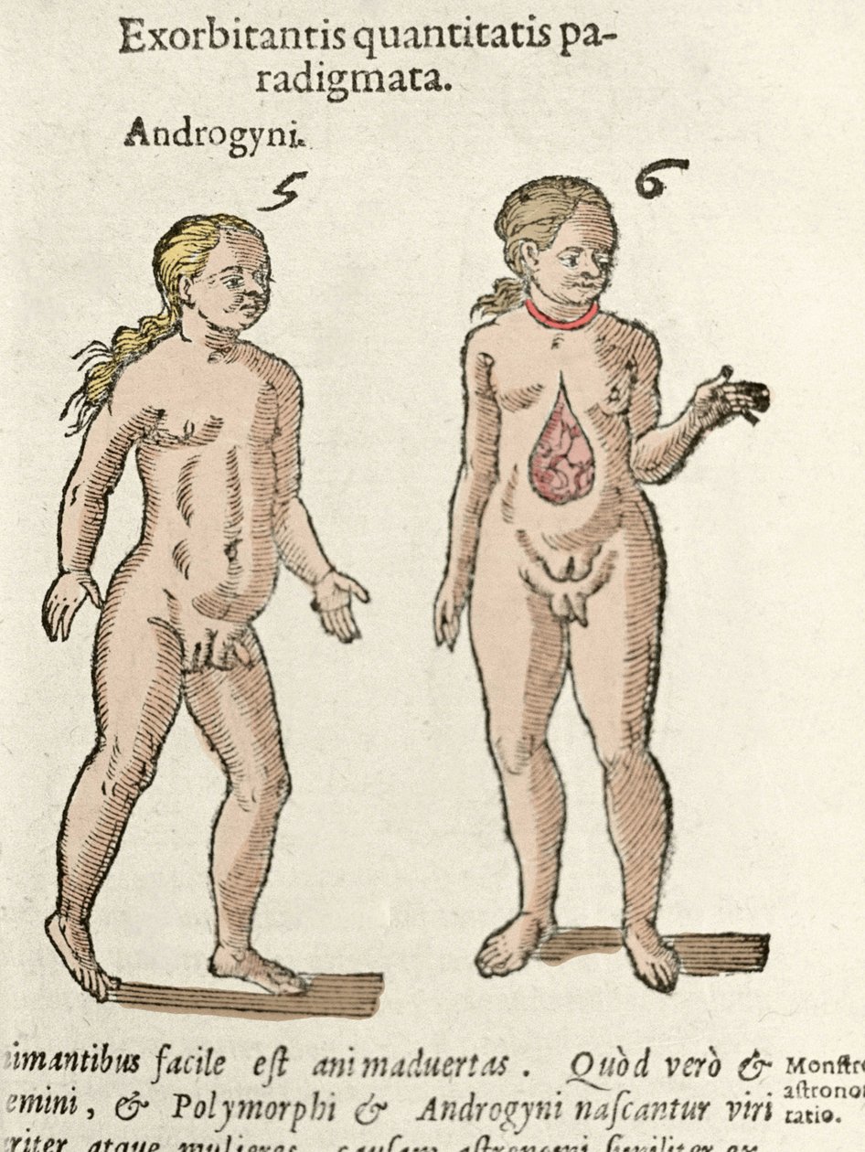 Zastoupení androgynního a hermafrodita. Talíř převzat z De natura Divinis caracteris”” od Cornelia Gemmy 1575 od Unknown artist