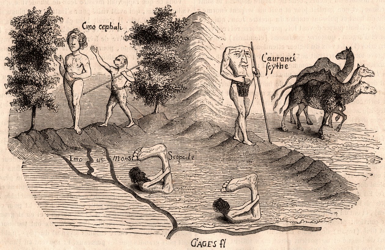 Zastoupení středověkých kmenů a živočišných druhů: Monokuly, Blemmy, Sciopodes a velbloudi od Unknown artist