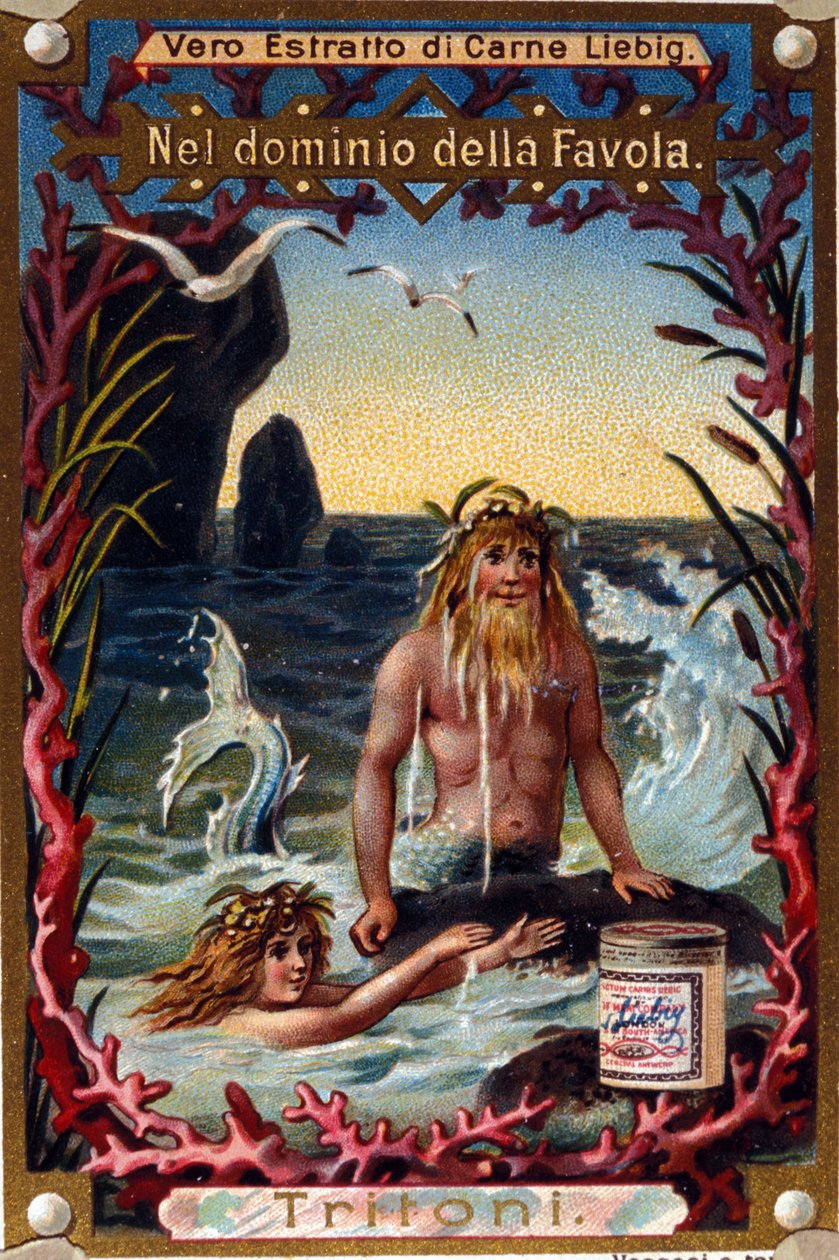 Zastoupení čolků, legendárních tvorů mi man mi fish. chromolitograf 19. století od Unknown artist