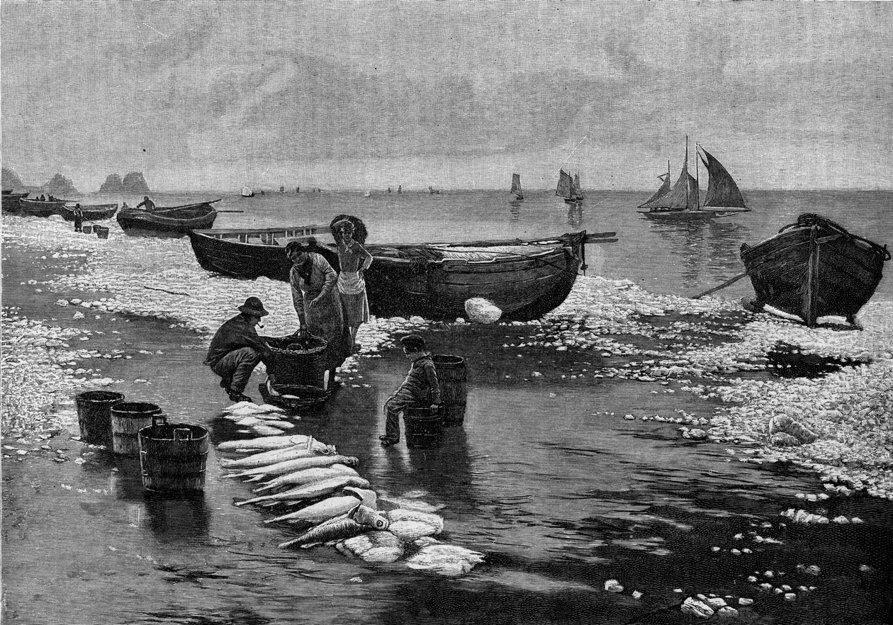 Návrat rybářů na stávku na Belle Isle (Belle-Isle) v Bretani. Rytina do „“Le Journal de la jeunesse““ od Unknown artist