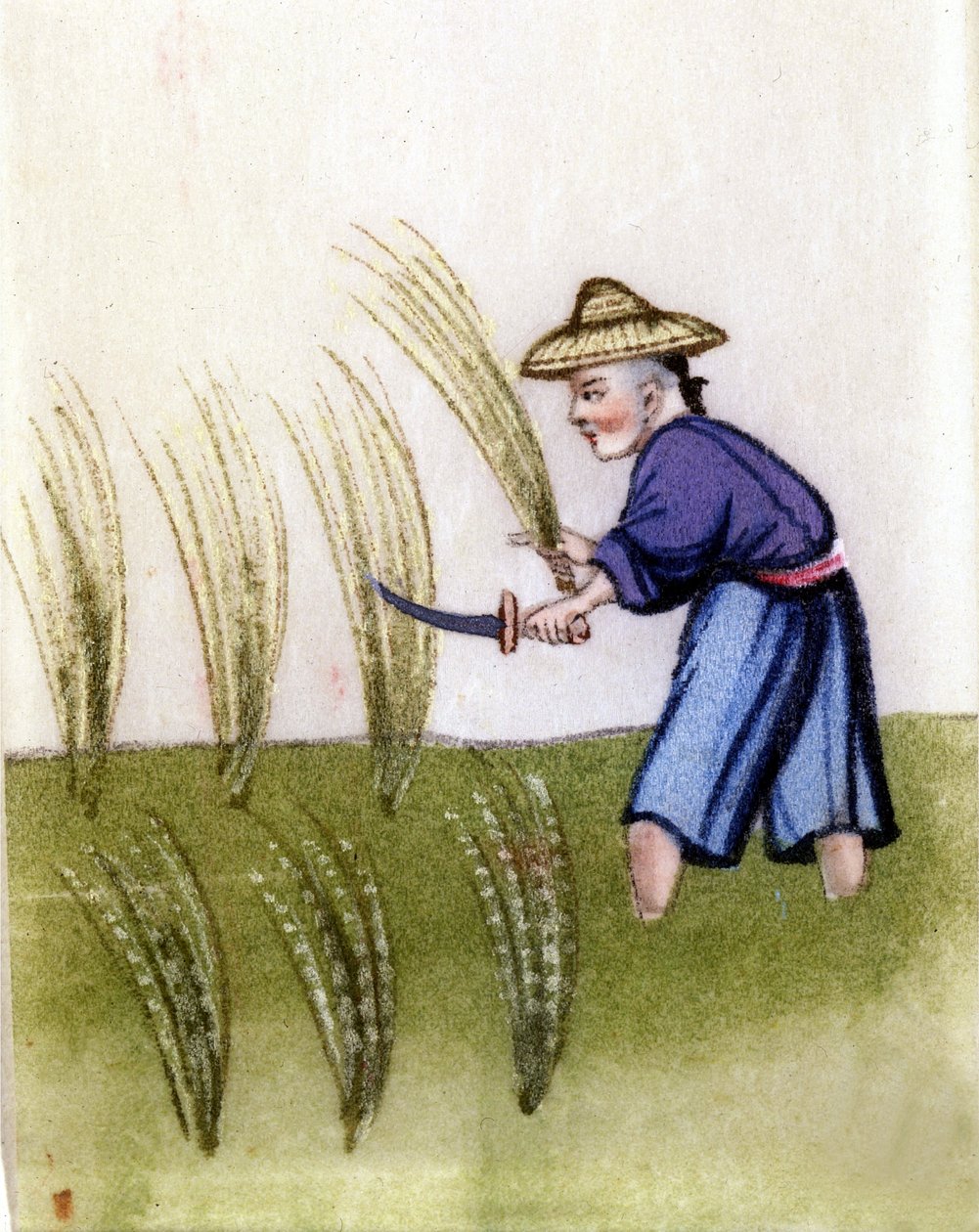 Pěstování rýže v Číně. Malování na rýžový papír. v Miláně. od Unknown artist