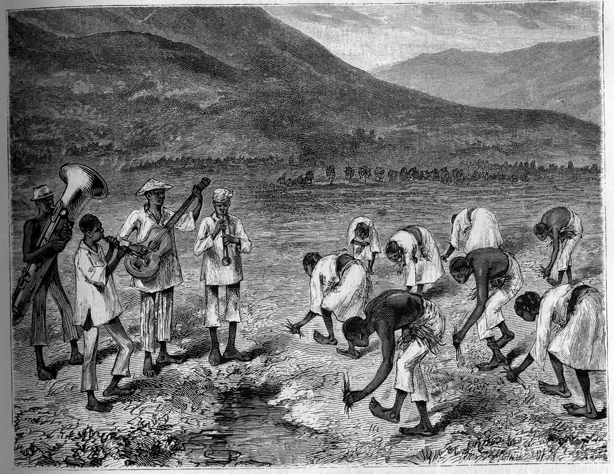 Pěstování rýže na Filipínách. Rytina do „The Youth Journal“ od Unknown artist