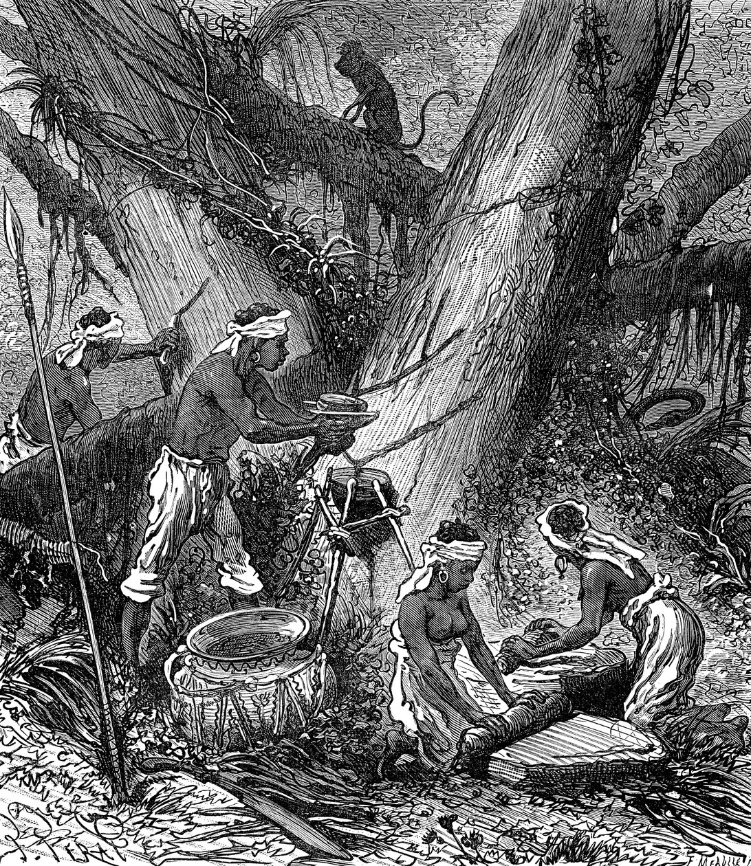 Těžba kaučuku v malajském lese (rytina) od Unknown Artist