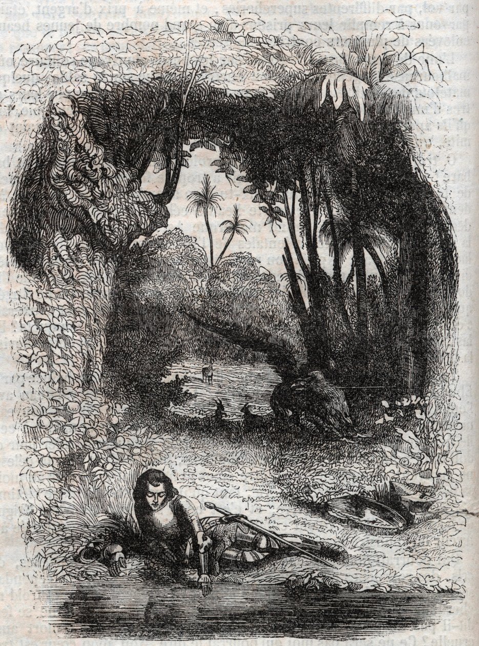 Ruggiero na ostrově Alcina, - 1851 rytina z básně Orlando furioso (1516) od Ludovica Ariosta, - Edice přeložená z italštiny hrabětem z Tressanu a vydaná Gustavem Harvardem 1851 od Unknown artist
