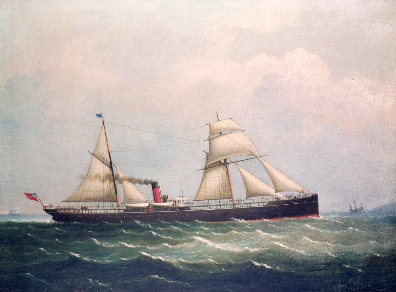 S.S Fooksang (olej na plátně) od Unknown artist