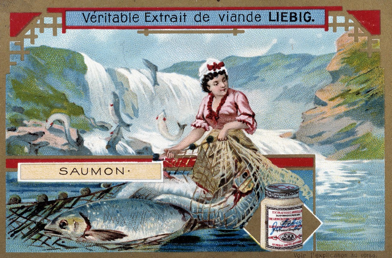 Lov lososů - chromo 19. století. od Unknown artist