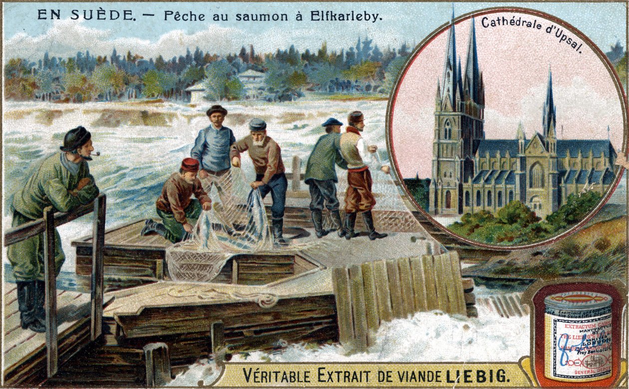 Lov lososů v Elfkarleby, Švédsko. Chromolitografie, Liebigův snímek. od Unknown artist