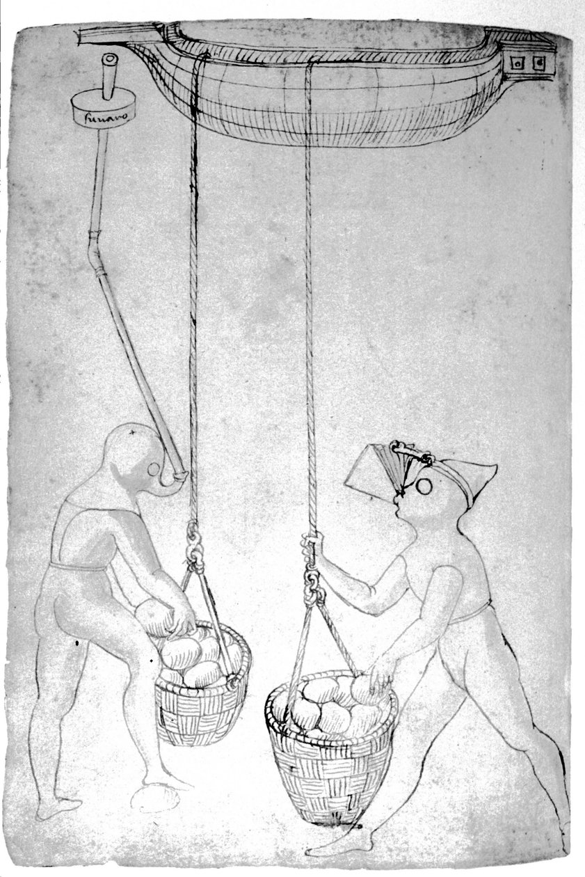 Šafránci z 15. století. od Unknown artist