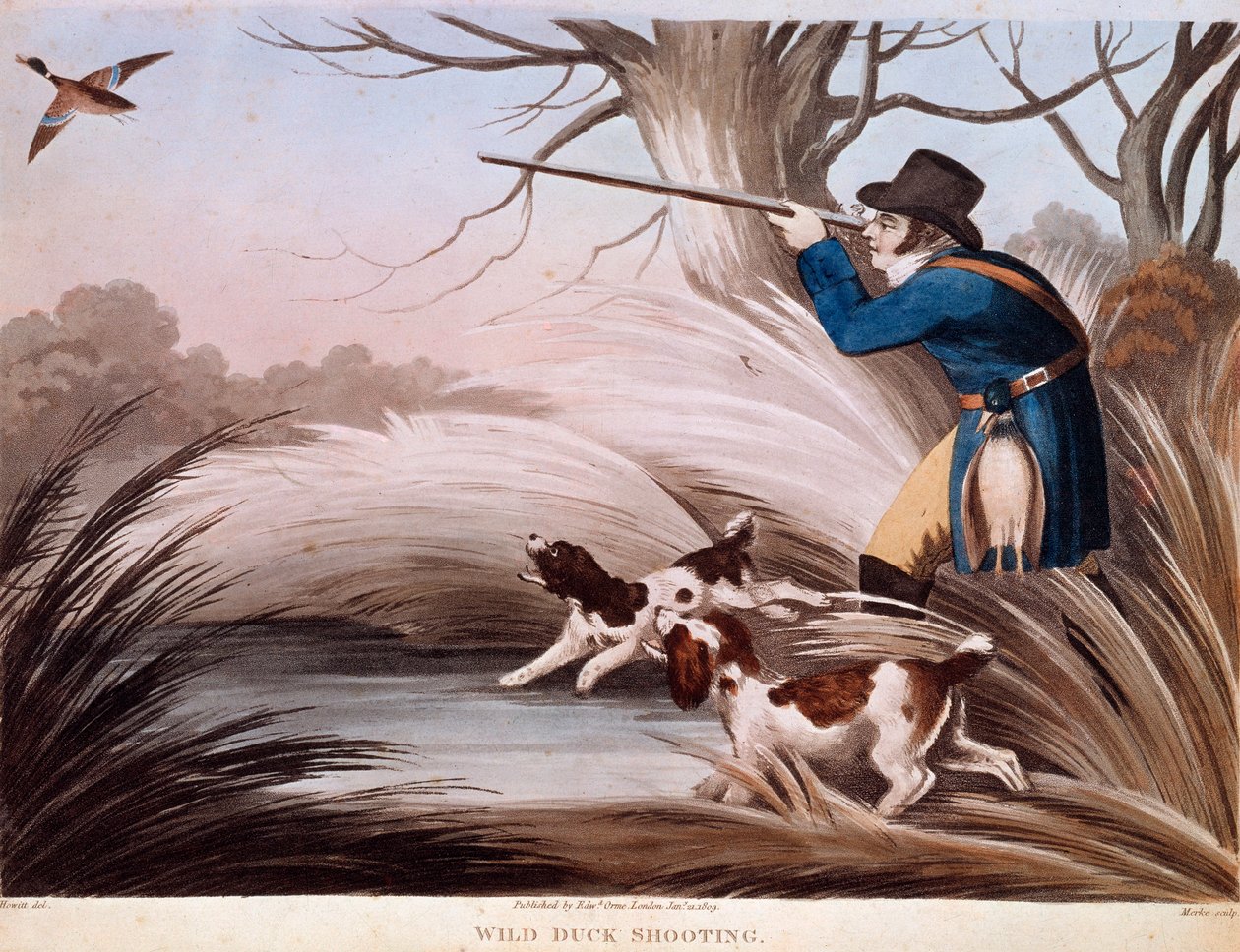 Scéna lovu kachen v Anglii. Litografie Gien z 19. století, lovecké muzeum od Unknown artist