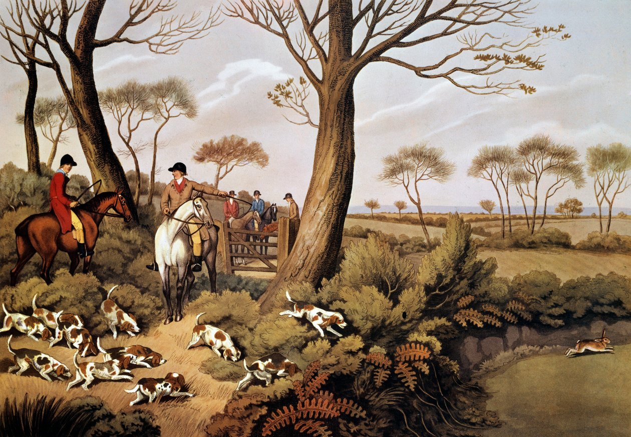 Scéna lovu zajíců v Anglii. Litografie Gien z 19. století, lovecké muzeum od Unknown artist