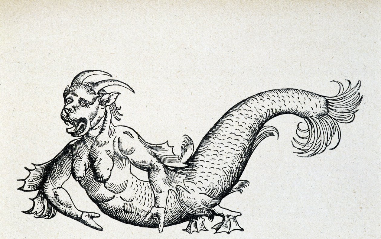 Mořský ďábel, údajně zajatý v Jaderském moři na začátku 15. století - podle Gesnera od Unknown artist
