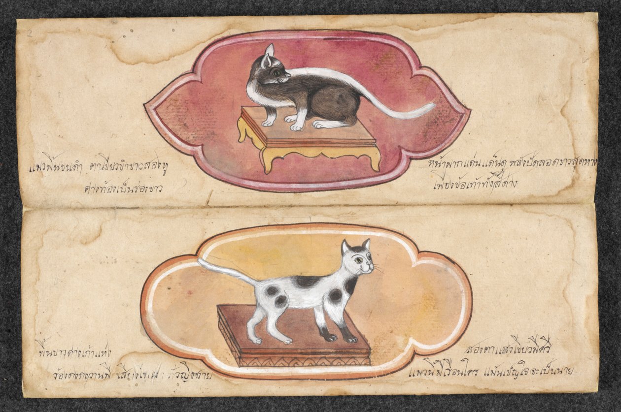 Siamské kočky od Unknown artist
