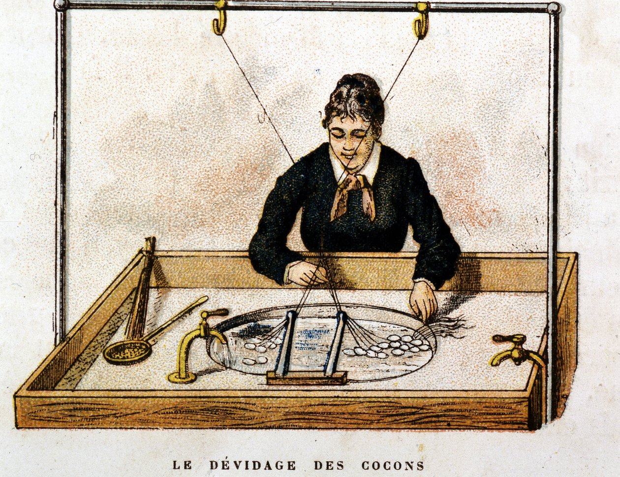 Hedvábné kokony - rytí od Unknown artist