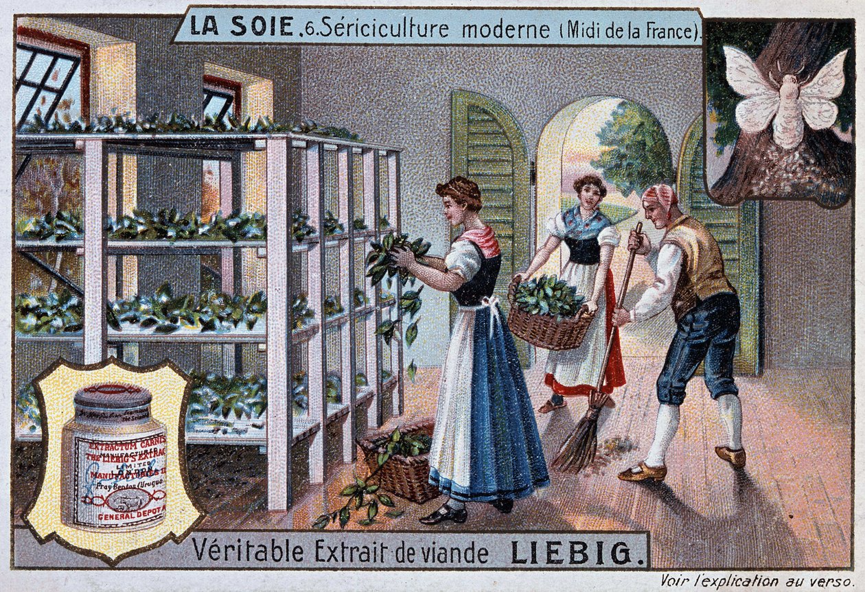 Hedvábí: hedvábná dílna v jižní Francii, reklama Liebig, v. 1895 od Unknown artist