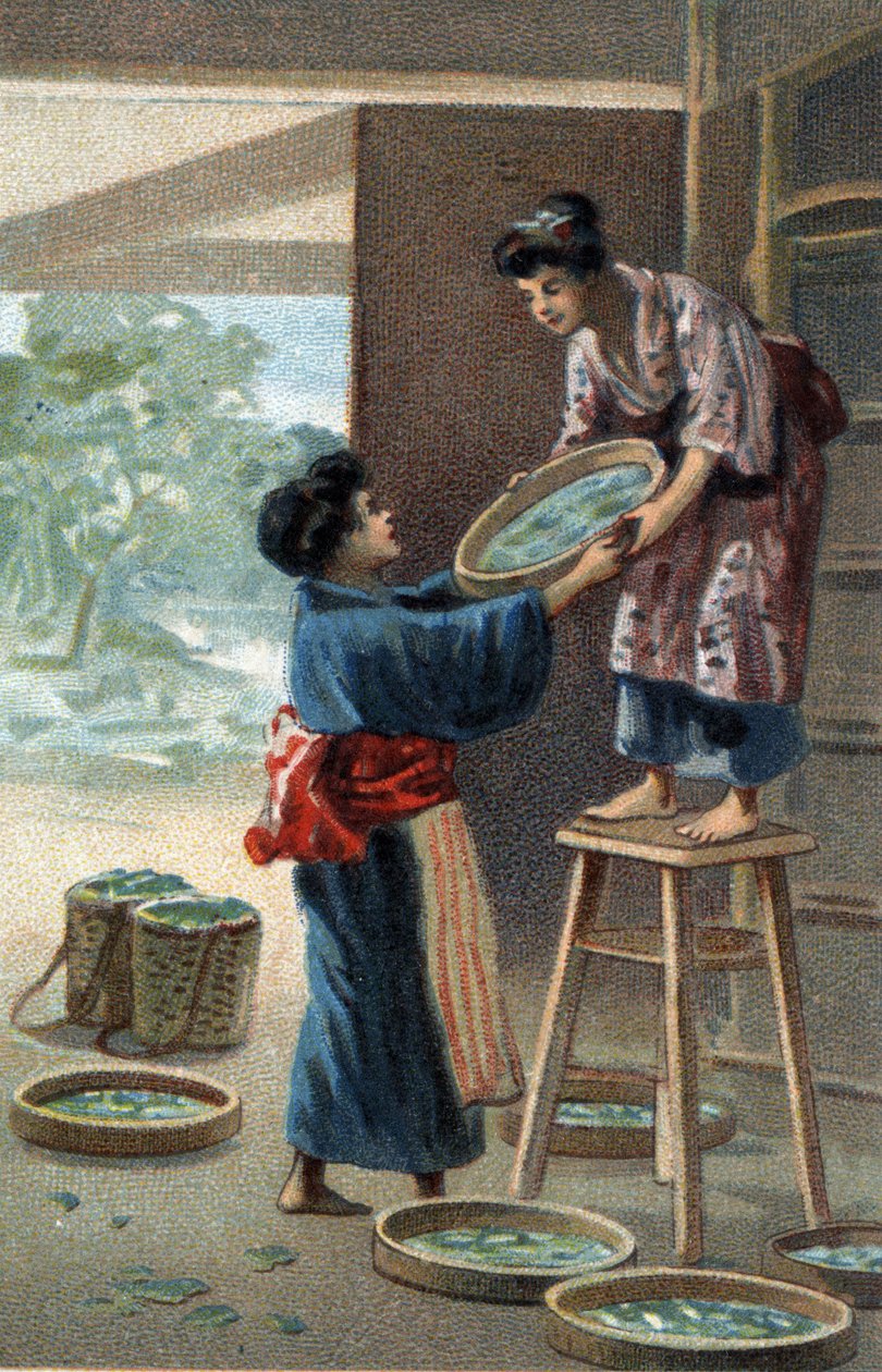 Chov bource morušového v japonském magnetu. Chromolitografie konce 19. století. od Unknown artist