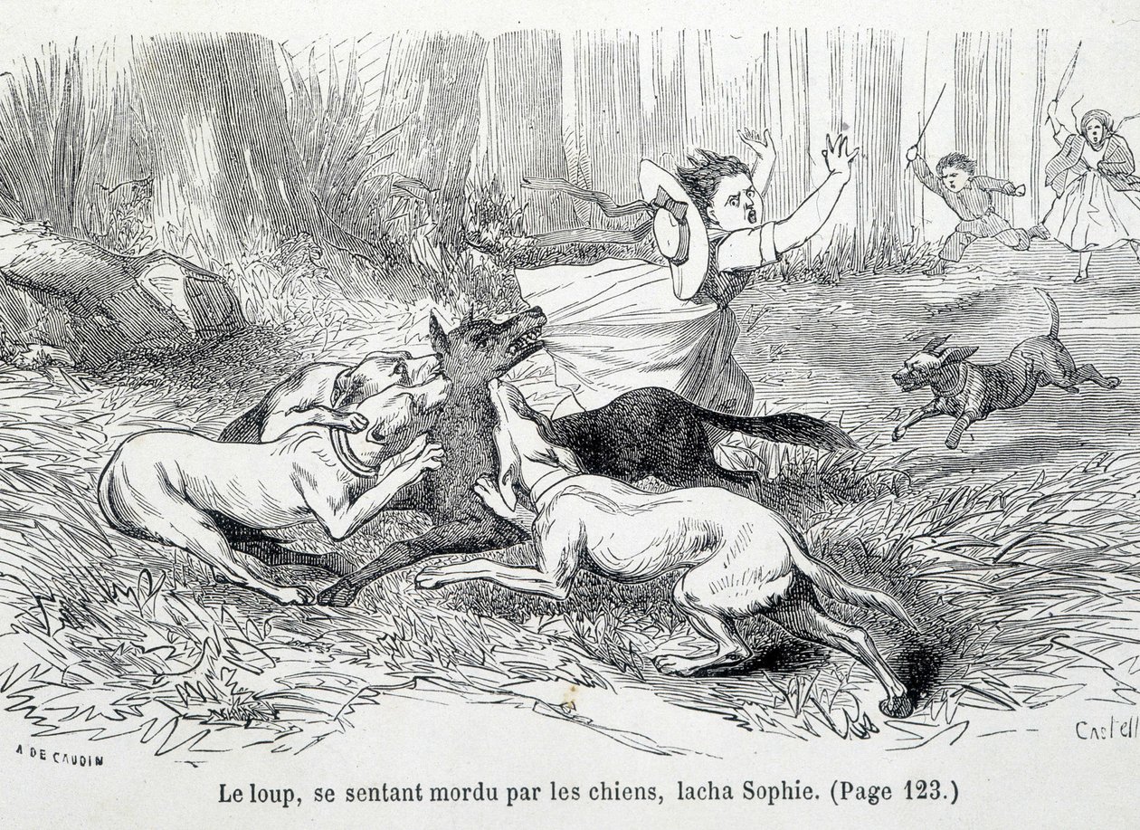 Sophie a vlk - v „Neštěstí Sophie““ od hraběnky ze Ségur, Hachette od Unknown artist