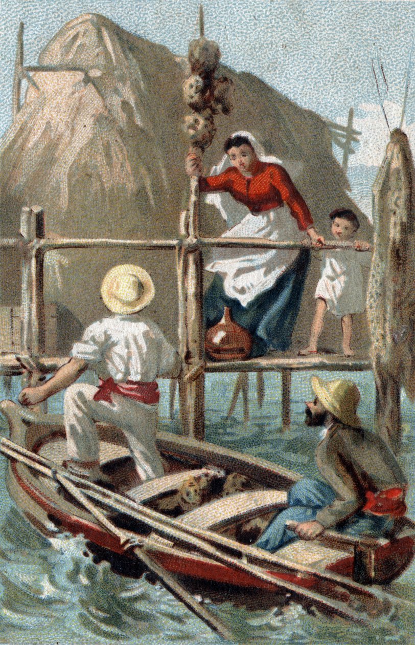 Houbaři na Kubě. Chromolitografie konce 19. století. od Unknown artist
