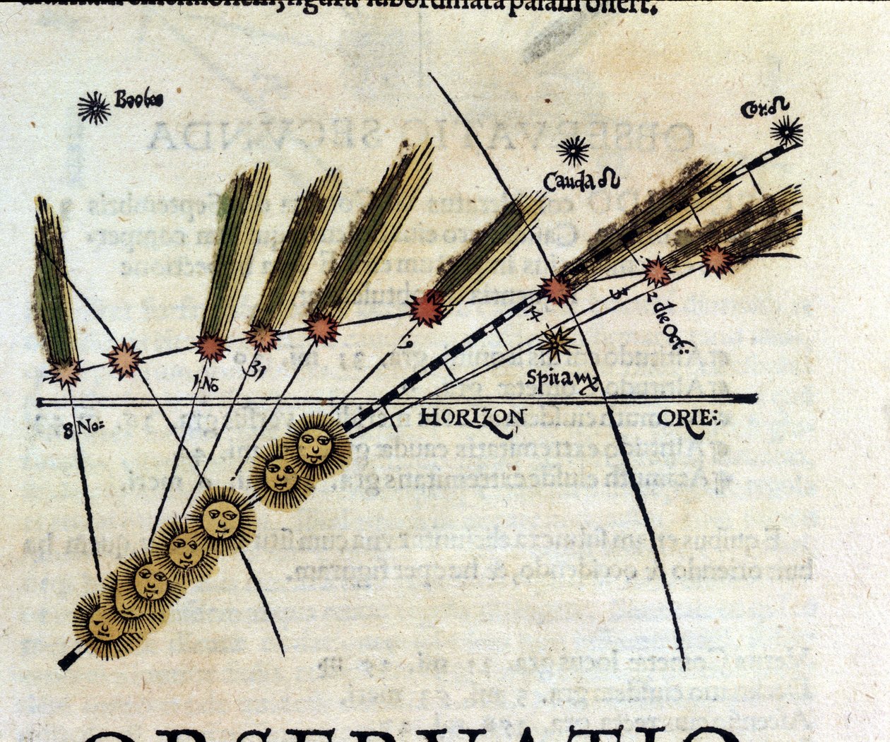 Studium komet - v Astronomicon caesarum, pojednání z 16. století. od Unknown artist