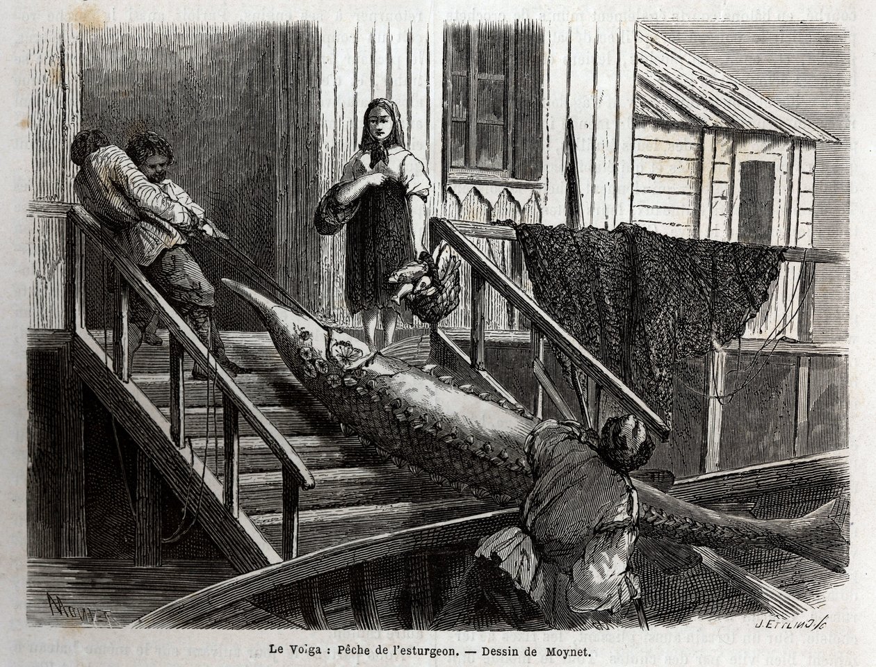 Lov jeseterů v ústí řeky Volhy. Rytina pro ilustraci plavby po Volze od M. Moyneta, v roce 1864, v „“Le tour du monde, nouveau journal des voyages““ vydaném pod vedením Edouarda Chartona od Unknown artist