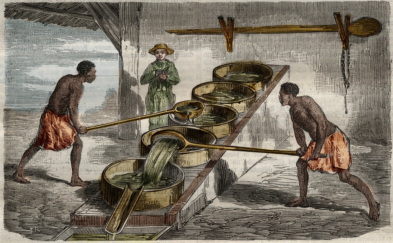Výroba cukru: kotle na vaření šťávy z cukrové třtiny v cukrovaru v Západní Indii. Rytina z roku 1859 v "Le Musee Des Sciences". od Unknown Artist