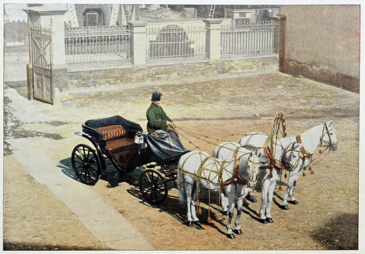 Letní trojka - fotografie, konec 19. století od Unknown artist